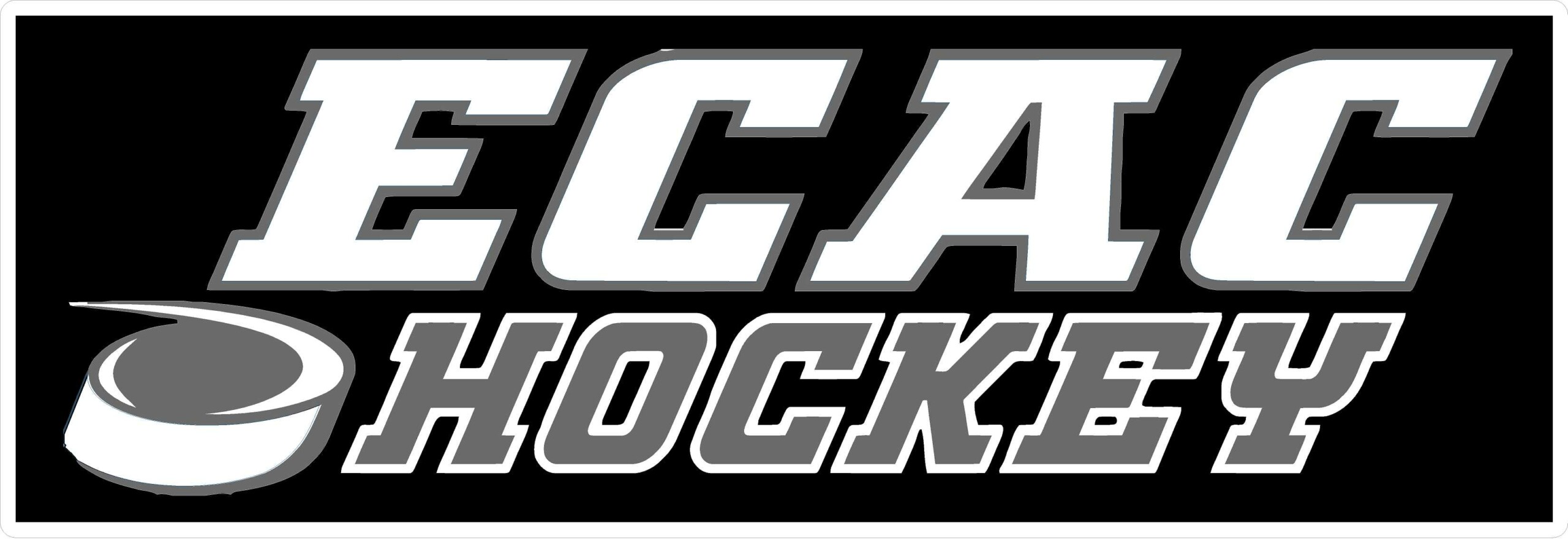 ECAC HOCKEY STICKER for guys