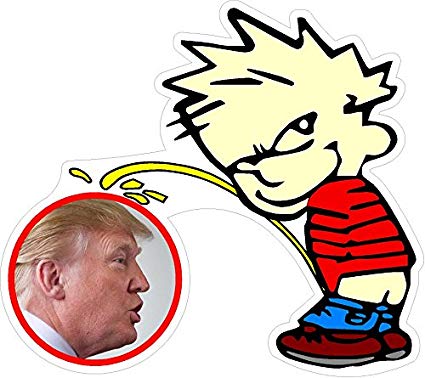 Copy of TRUMP SPACE FORCE ROUND FLAG EAGLE STICKER