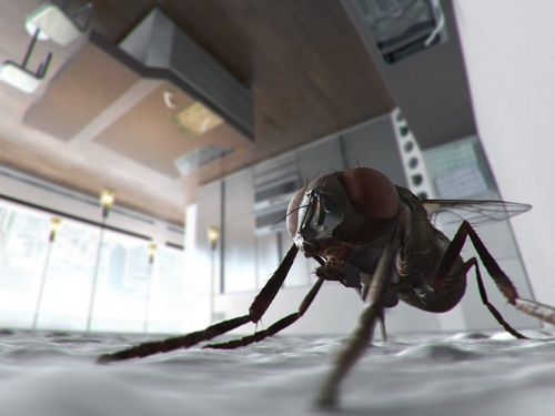 Butterflies and Bugs Wall Decals 13