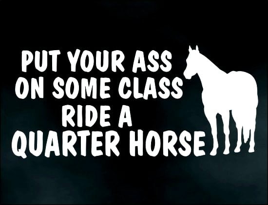 Class On Quarter Horde Vinyl Decal