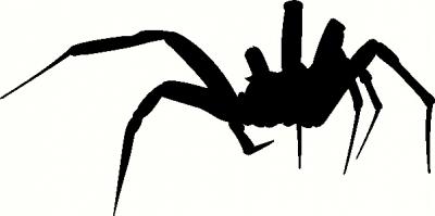 Creepy Spider Decal