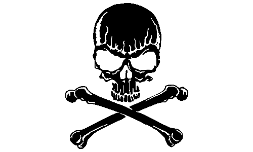 Skull Vinyl Sticker 17