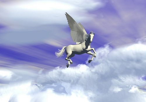 3D Object Vinyl Wall Decals 41