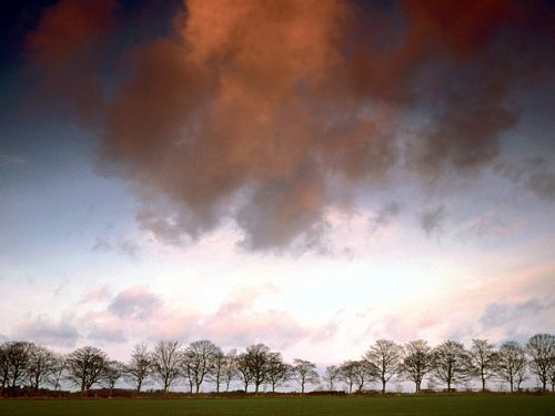 Counds and Sky Vinyl Wall Graphics 008