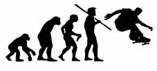 Evolution Sport Stickers SKATEBOARD