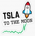 TSLA TO THE MOON STICKER