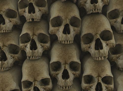 Dragons and Skull Wall Decals 41