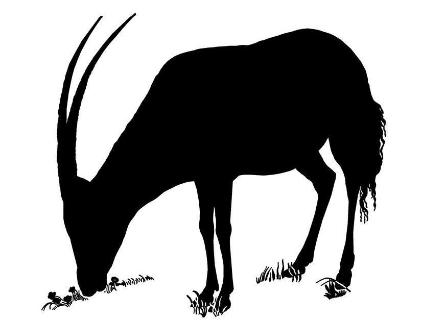 African Animal Decal 14