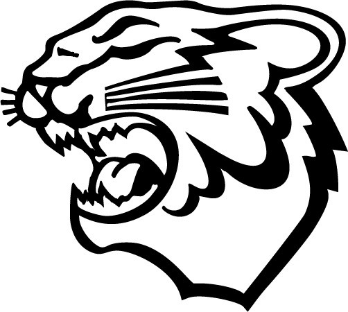 Arctic Cat Logo Diecut Racing Decal