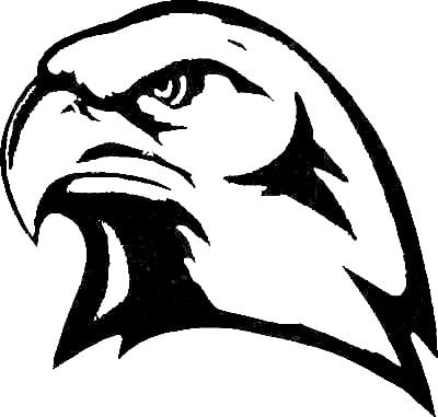 Bird Birds animal Car or Wall Vinyl Decal Sticker 13