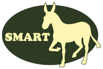Smart Ass Oval Car Window Decal
