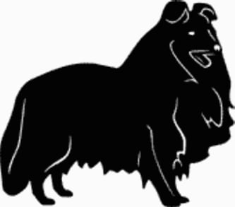 15X Sheltie Dog Decal