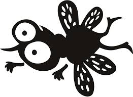 Bug Splat Funny Die Cut Decal