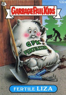 Fertile LIZA Funny Sticker Name Decal