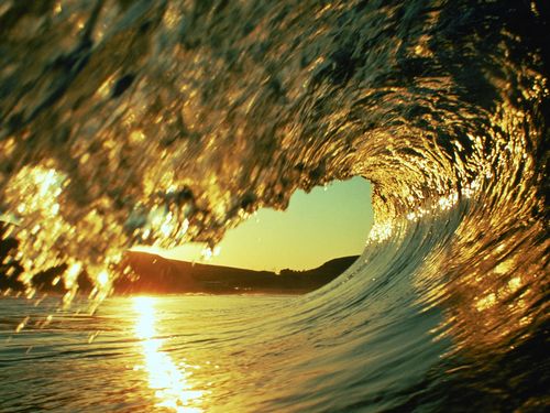 Oceans and Surf Wall Graphic Decals 09