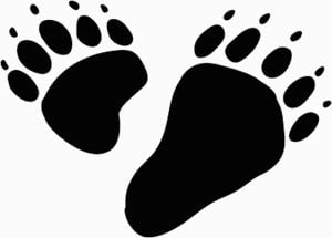 Animal Tracks Vinyl Decals 1