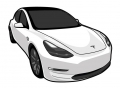 TESLA WHITE MODEL 3 STICKER