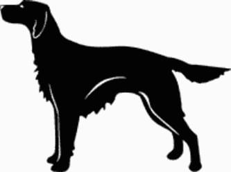 15P Irish Setter Dog Decal
