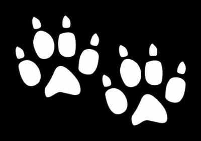 Fox Paw Prints Vinyl Hunting Decal