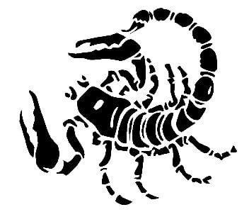 Scorpion decal 2