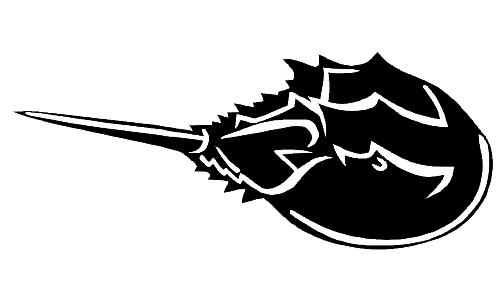 Horseshoe Crab Decal