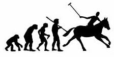 Evolution Sport Stickers POLO
