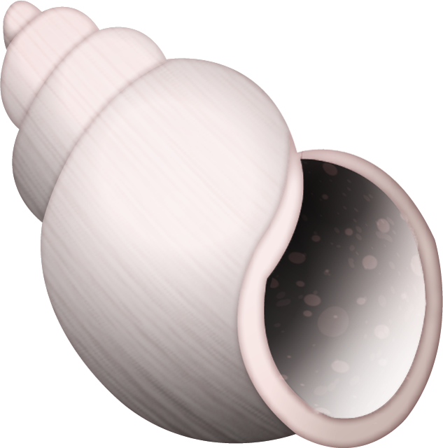 Emoji_Spiral_Shell