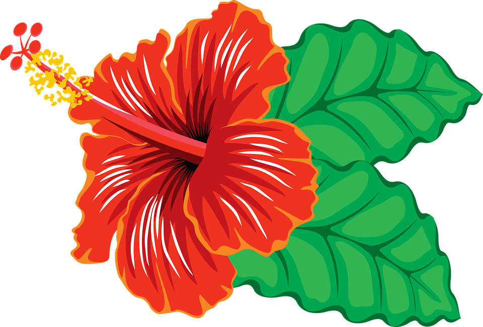 HAWAIIAN flower