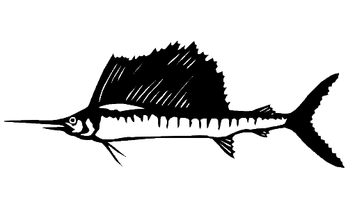 Sailfish decal