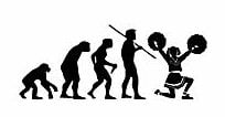 Evolution Sport Stickers CHEERLEADING