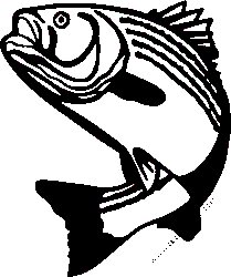 Fishing Decal Sticker 31