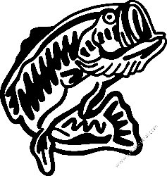 Fishing Decal Sticker 24