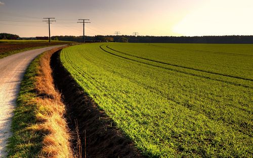 Mountain Scenes Wall Art Decals 016