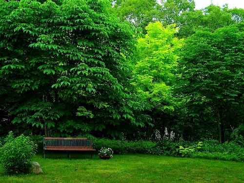 Spring TIme Vinyl Wall Decals 15