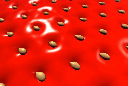 3D Object Vinyl Wall Decals 58