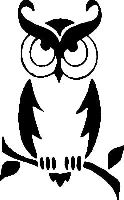Bird Birds animal Car or Wall Vinyl Decal Sticker 35