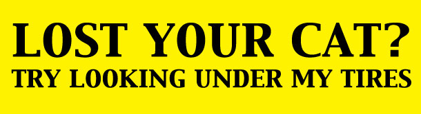 Lost Your Cat Try Looking Under My Tires Bumper Sticker